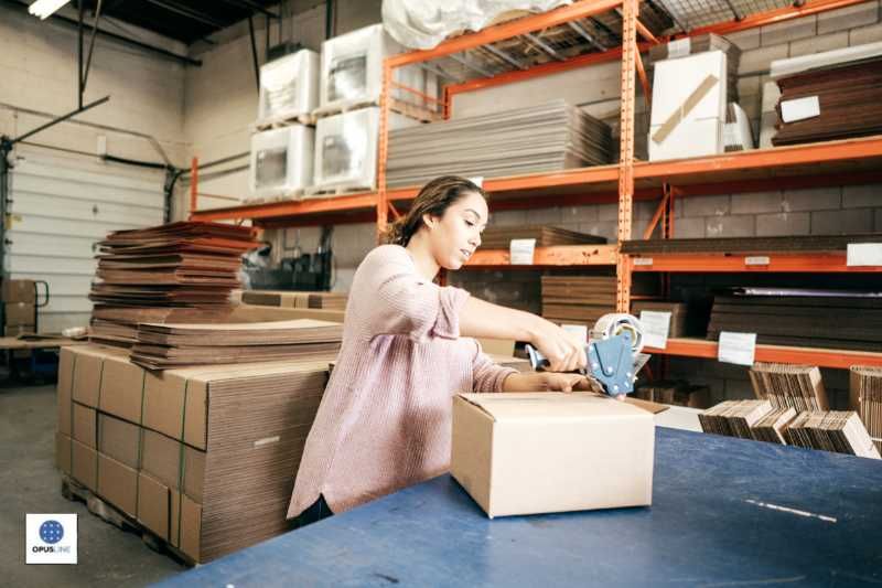 SIKA 8185 Flex LBS – Sabots – Convient Pour L'industrie